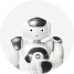NAO Circle Logo